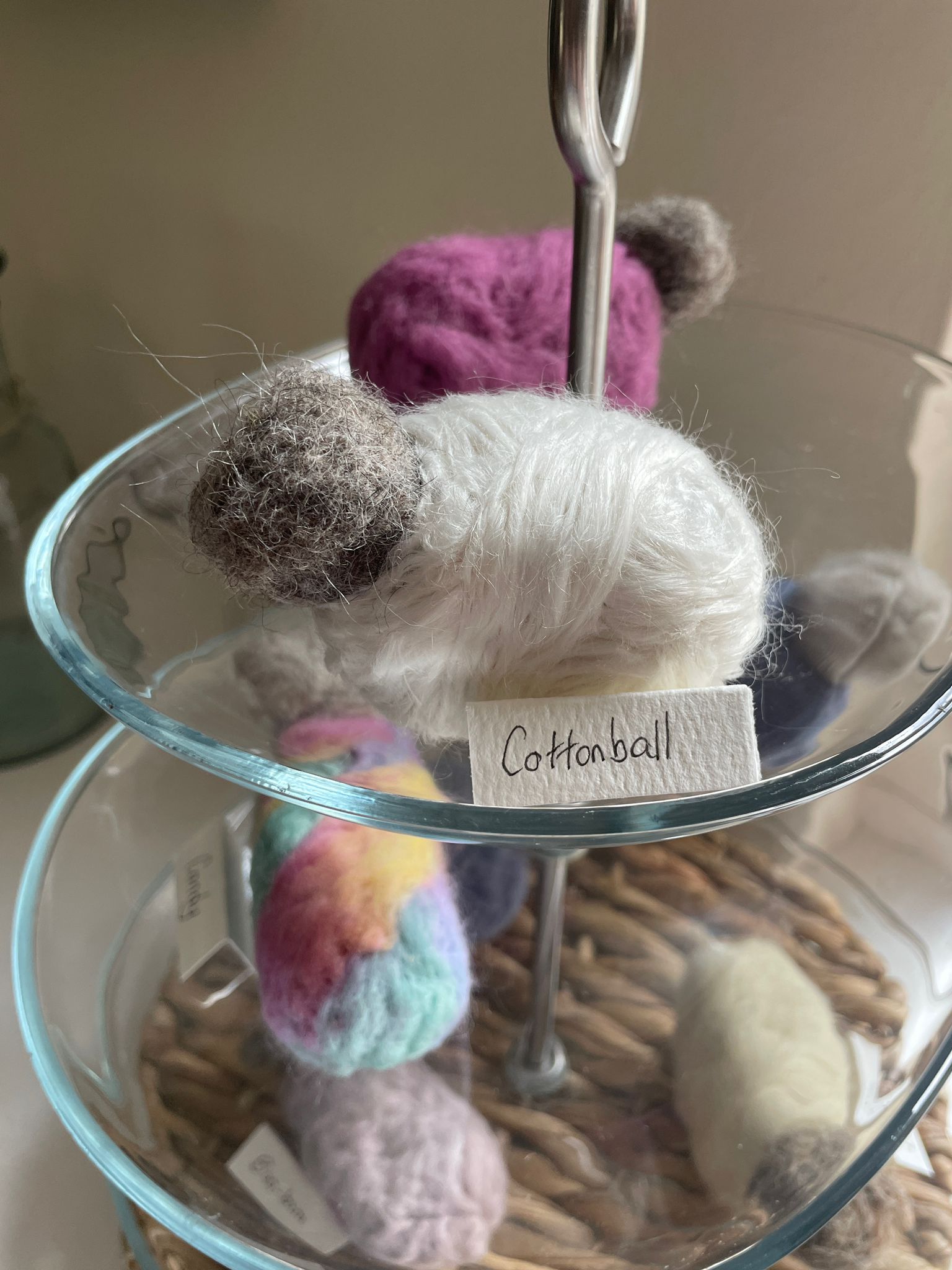 'Cottonbud'