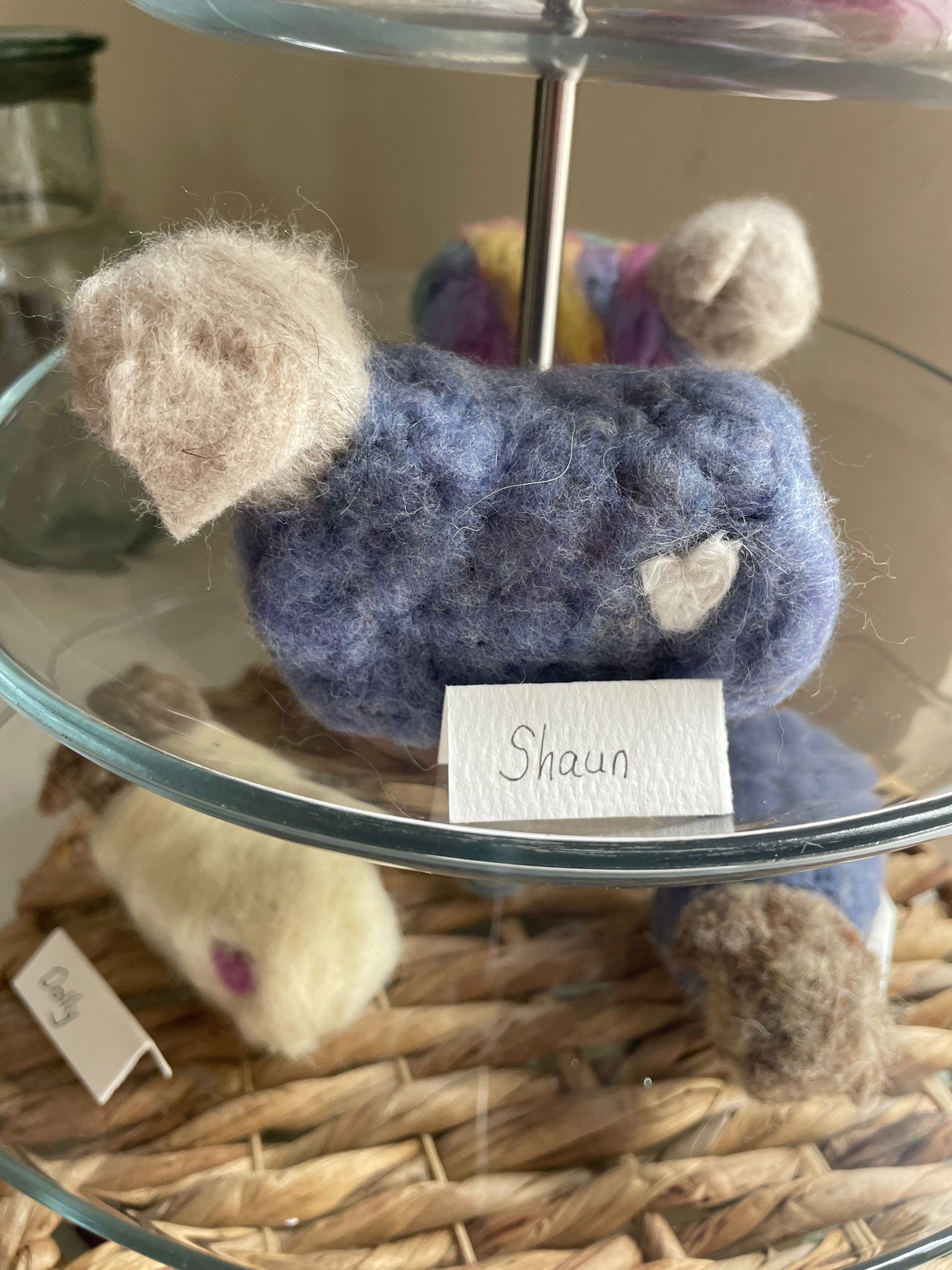 'Shaun'