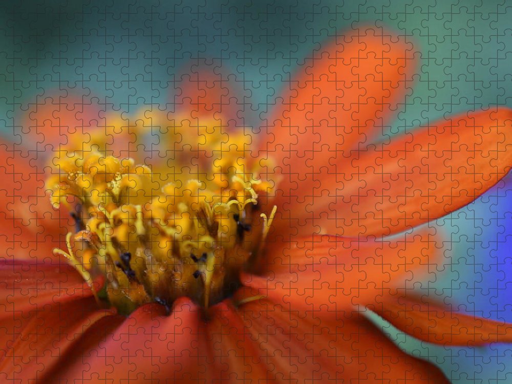 Orange Crush