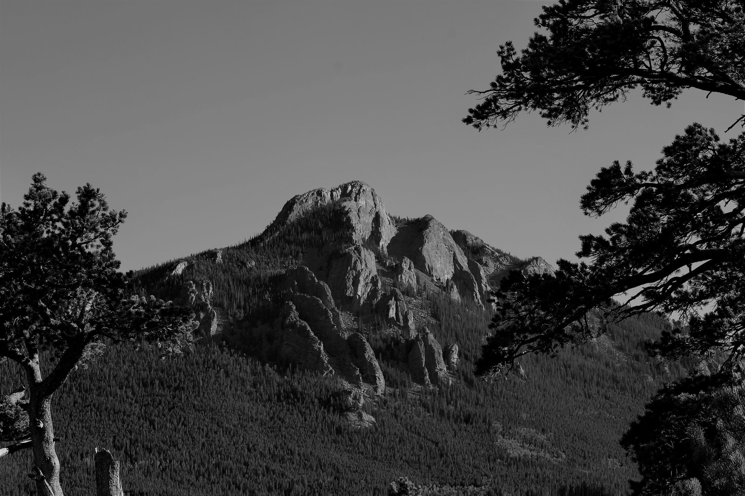 Black & White Lily Mountain, Estes Park Colroado