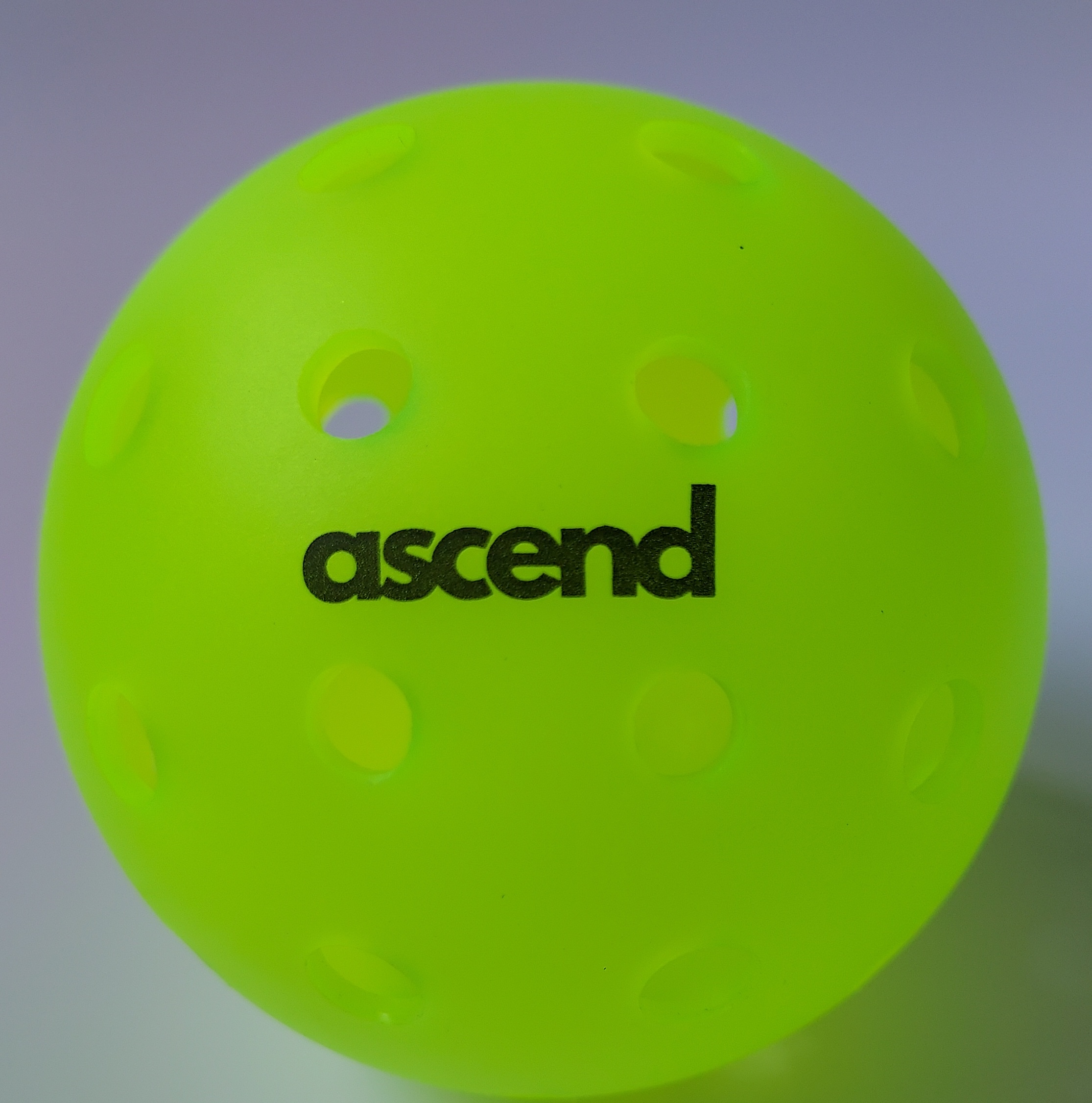 Ascend Outdoor Pickleball