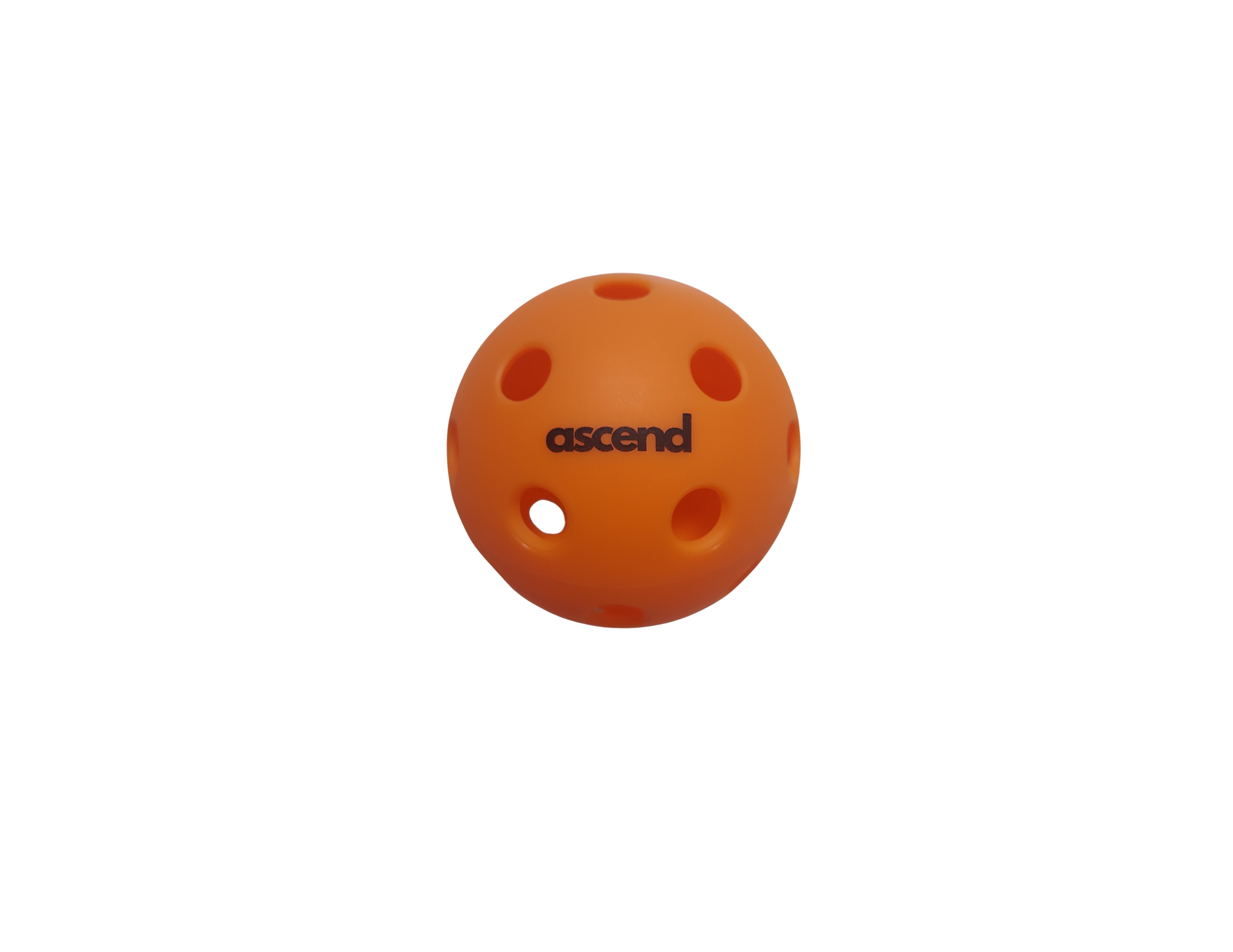 Ascend Indoor Pickleball