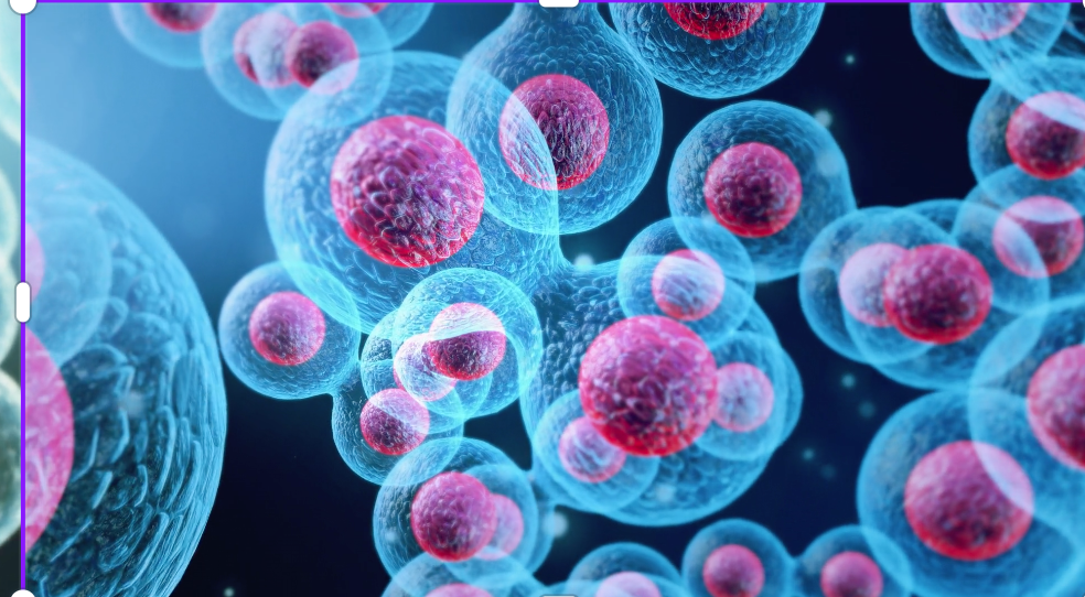 Hair Tissue Mineral Analysis Special Offer