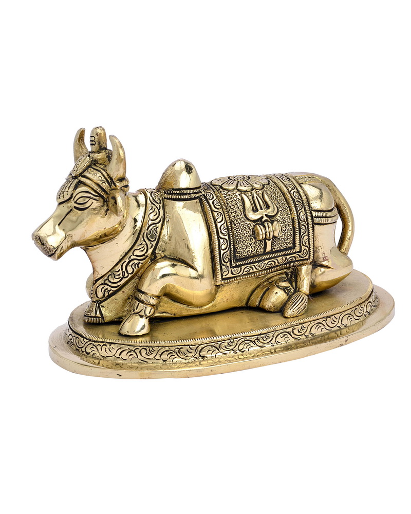 Lord Shiva Brass Nandi brass #PIC-1509