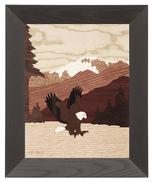 Eagle Fishing