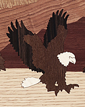Eagle Fishing