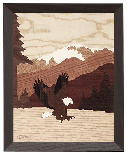 Eagle Fishing