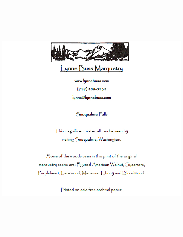 Snoqualmie Falls Matted Print