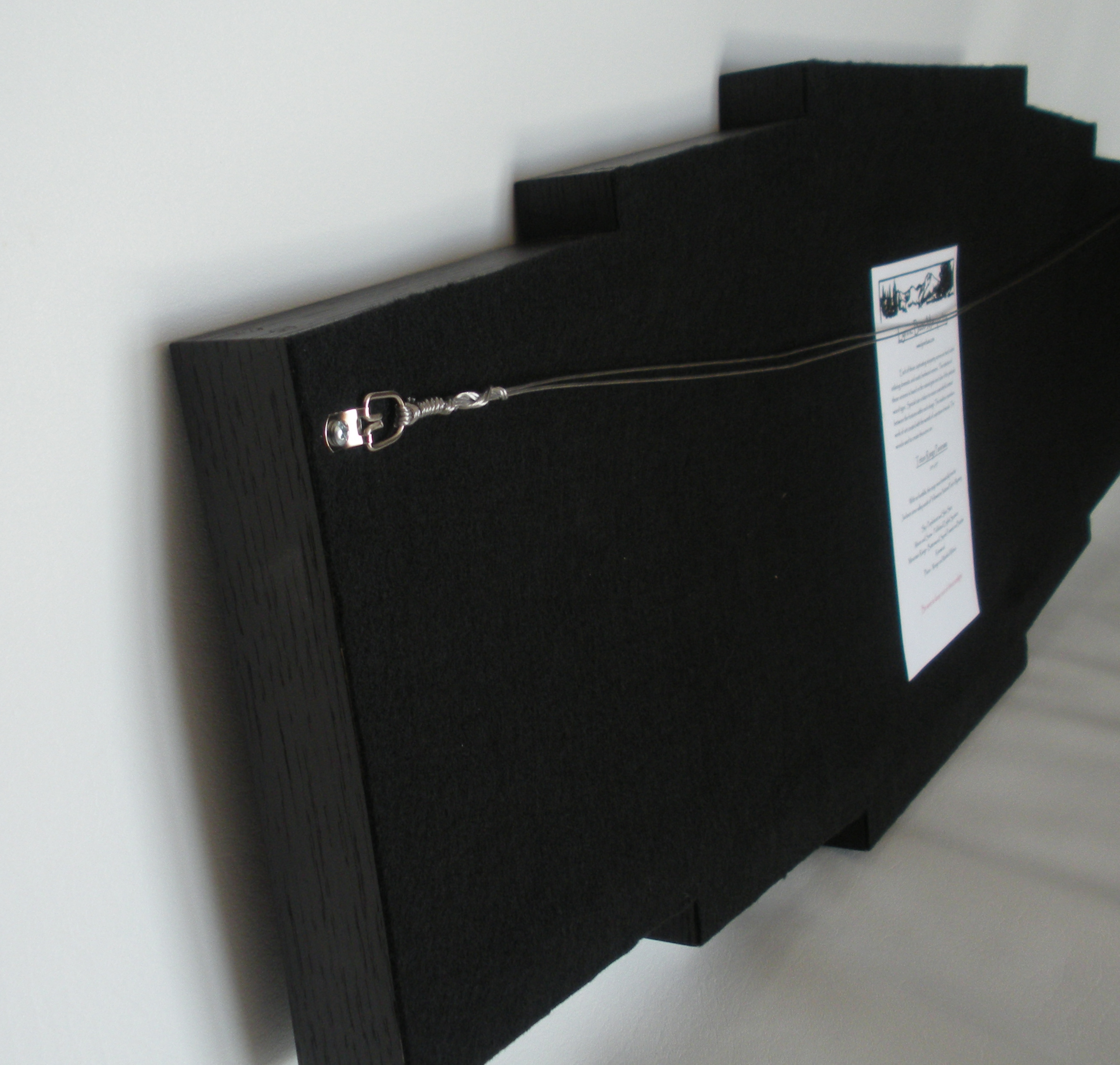 Long's Peak Panorama