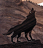 Howling at the Moon