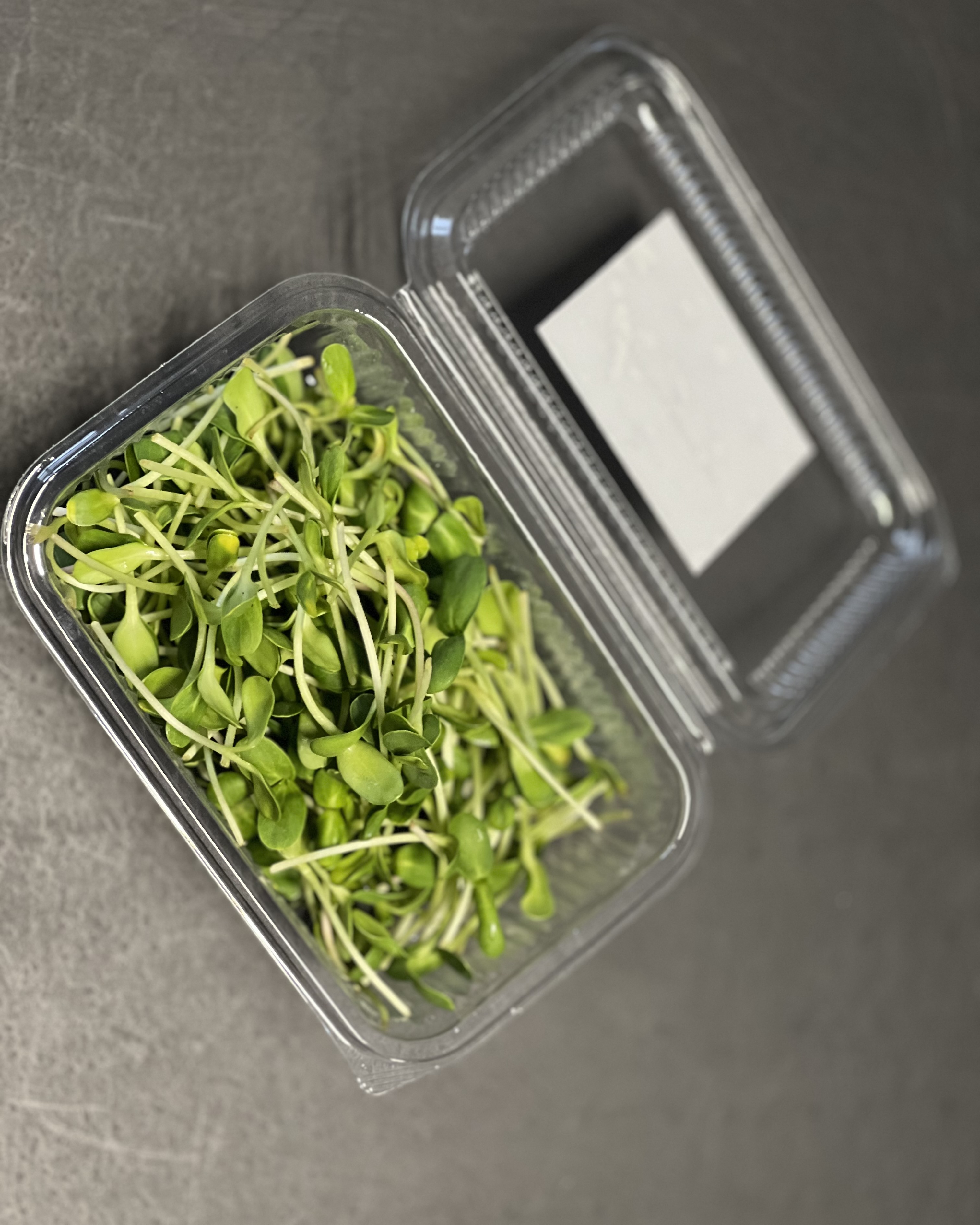 SAULĖGRĄŽŲ ŽALUMYNAI (ūgliai)