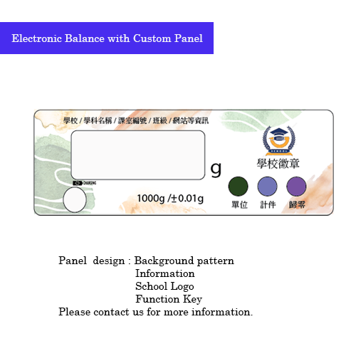 0.1g precision Custom panel robust load rechargeable operated electronic balance