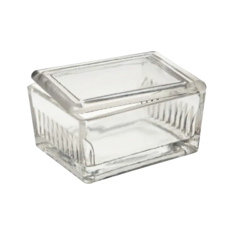 Staining Dish with 10 sample slots
