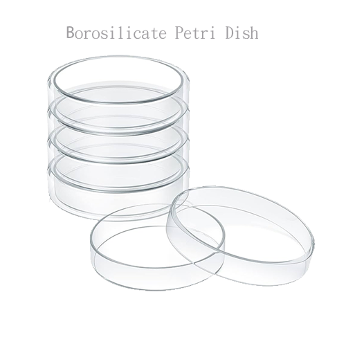 Pack of 10 Borosilicate glass petri dish