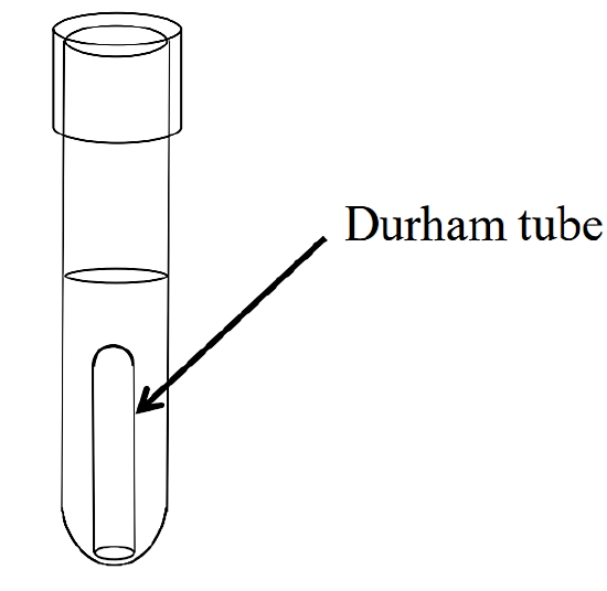 Pack of 10 pcs Durham Tubes