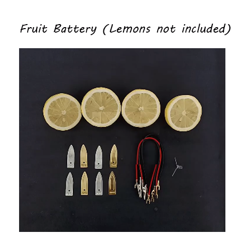 Pack of 12 sets Fruit Battery