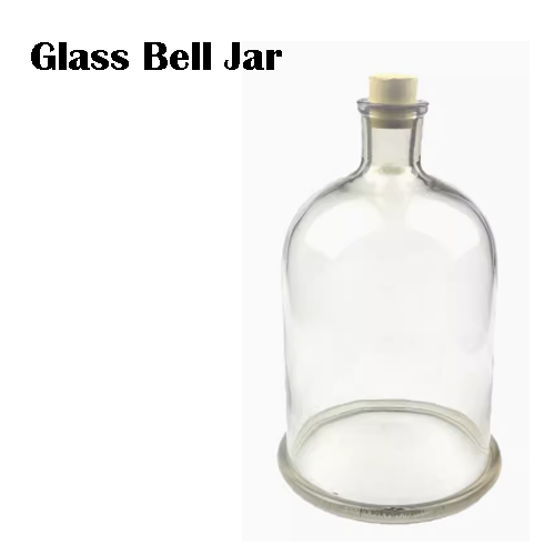 Glass bell jar