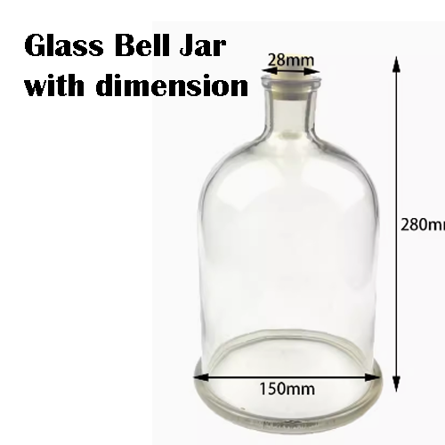 Glass bell jar