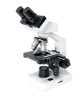 Student Binocular Microscope