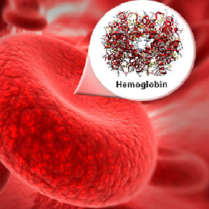 Hemoglobin (from ox's blood)