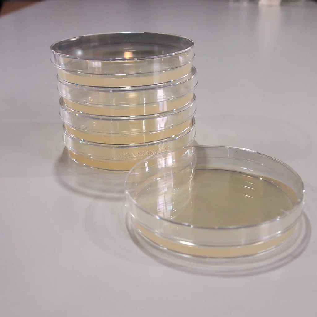 TTC Nutrient agar