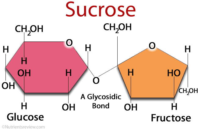 Sucrose