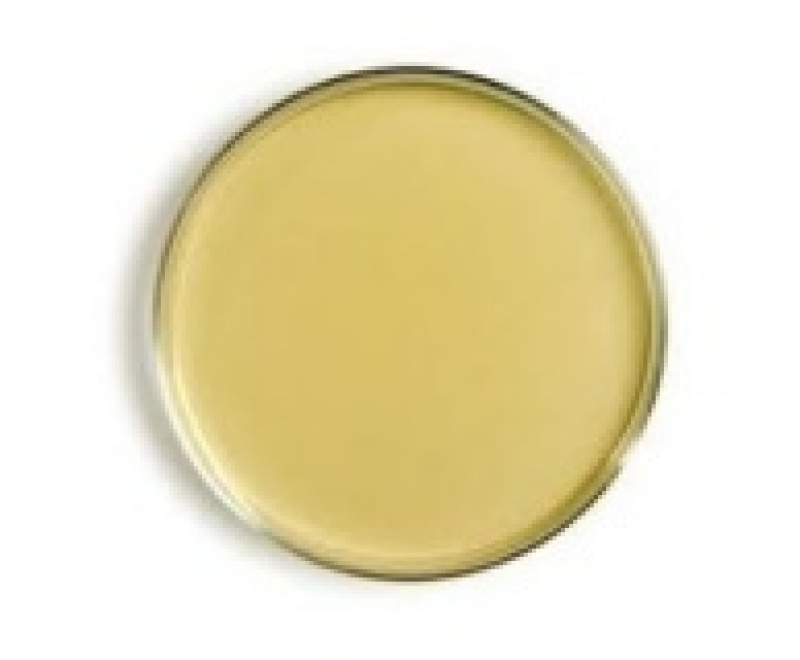 TTC Nutrient agar