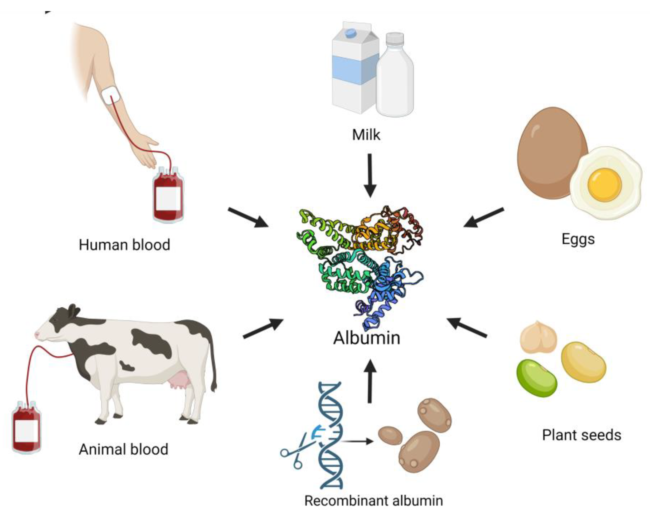 Albumin lactic; Lactalbumins