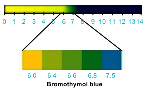 Bromothymol blue