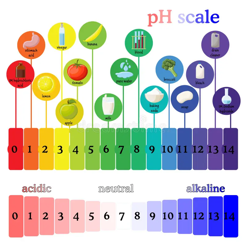 Litmus (pH 5-8)