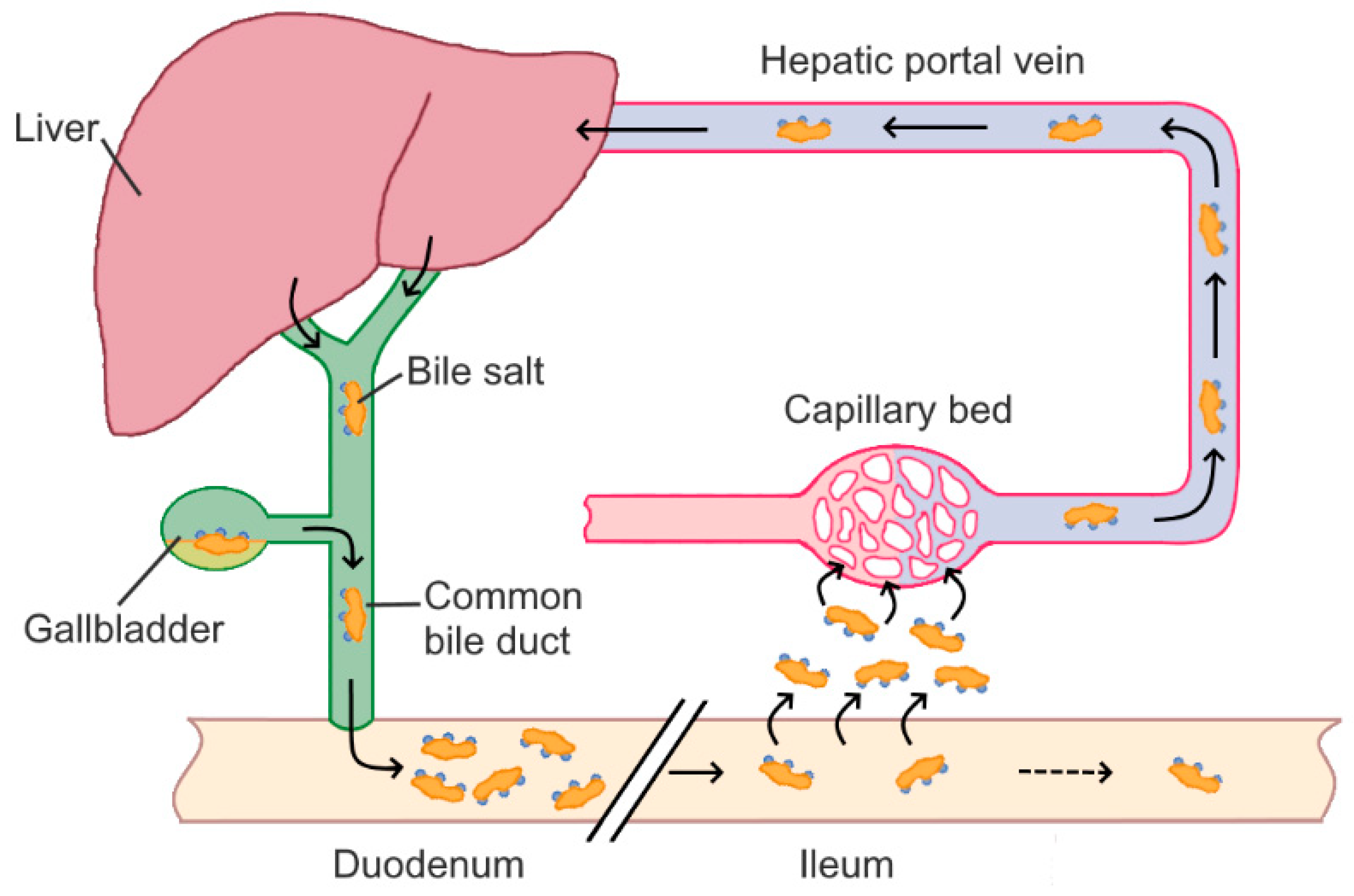Bile salt