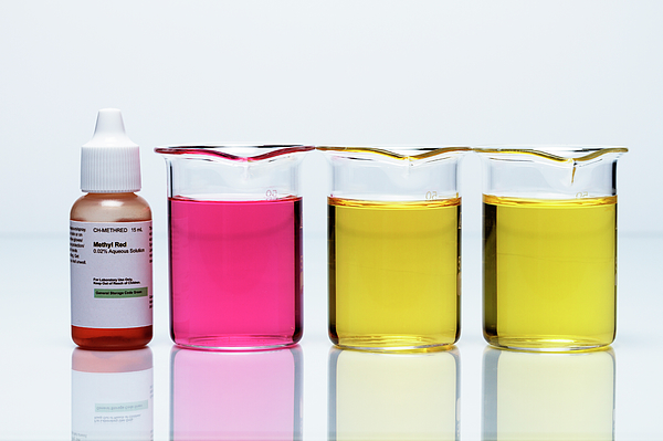 Methyl Red
