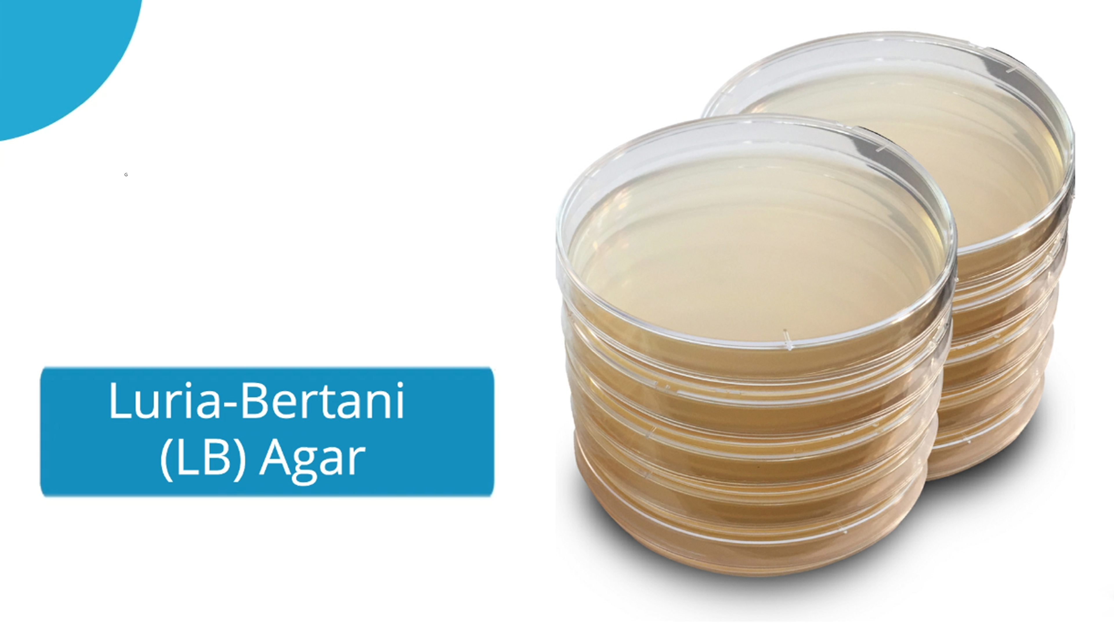General Growth Nutrient Agar / Luria Bertani (LB)