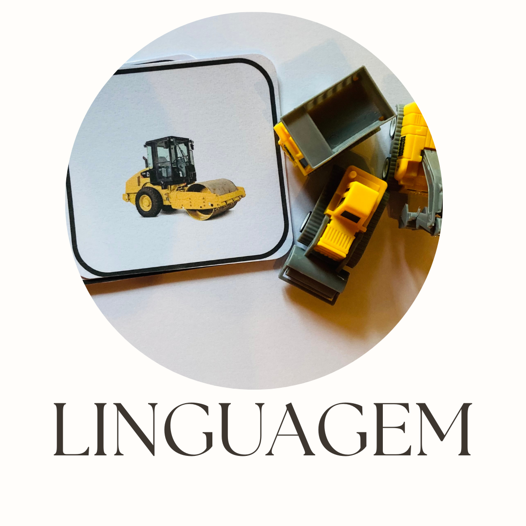 Kit Objetos com cartoes para emparelhar parecidos