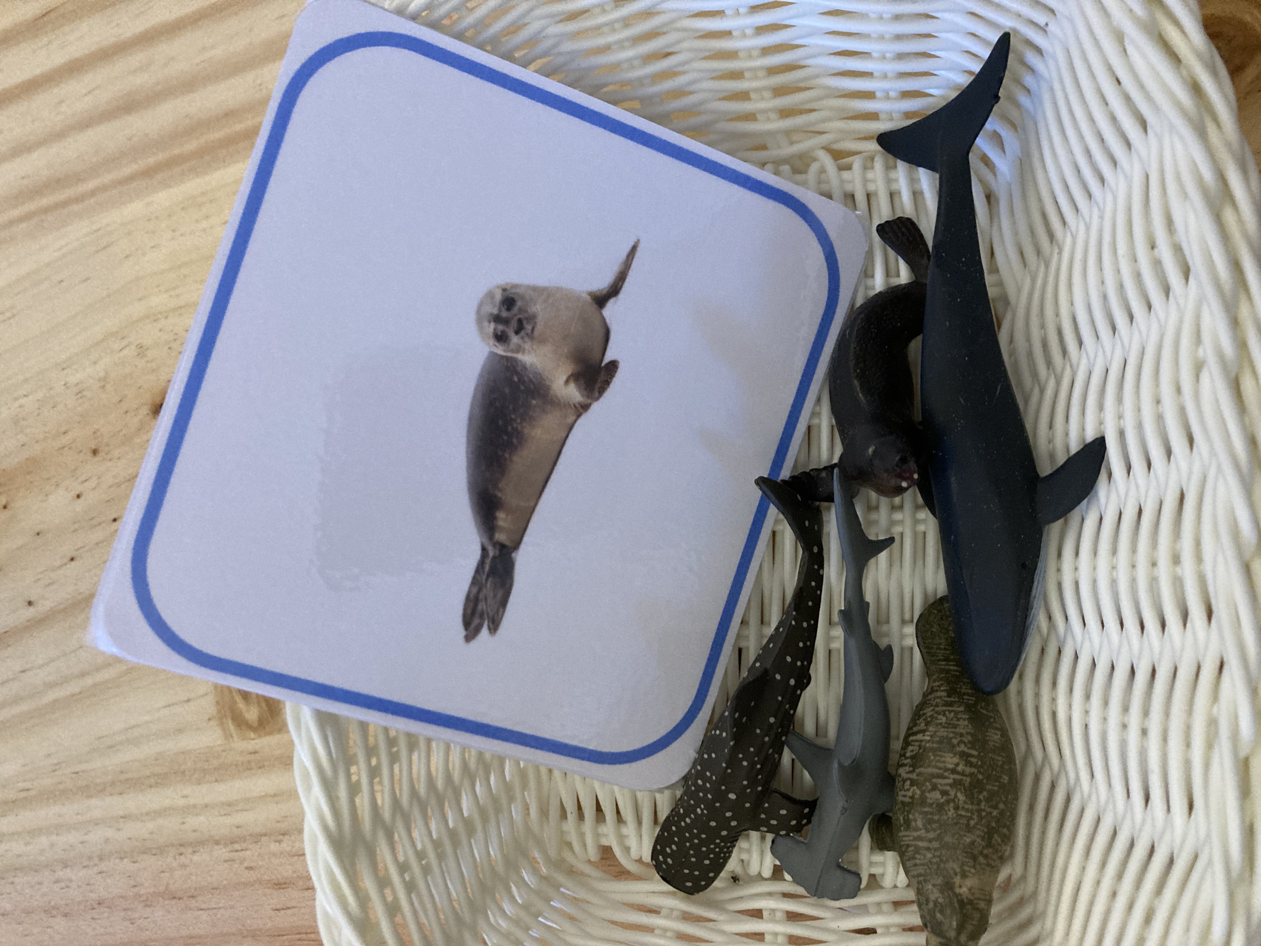 Kit Objetos com cartoes para emparelhar parecidos