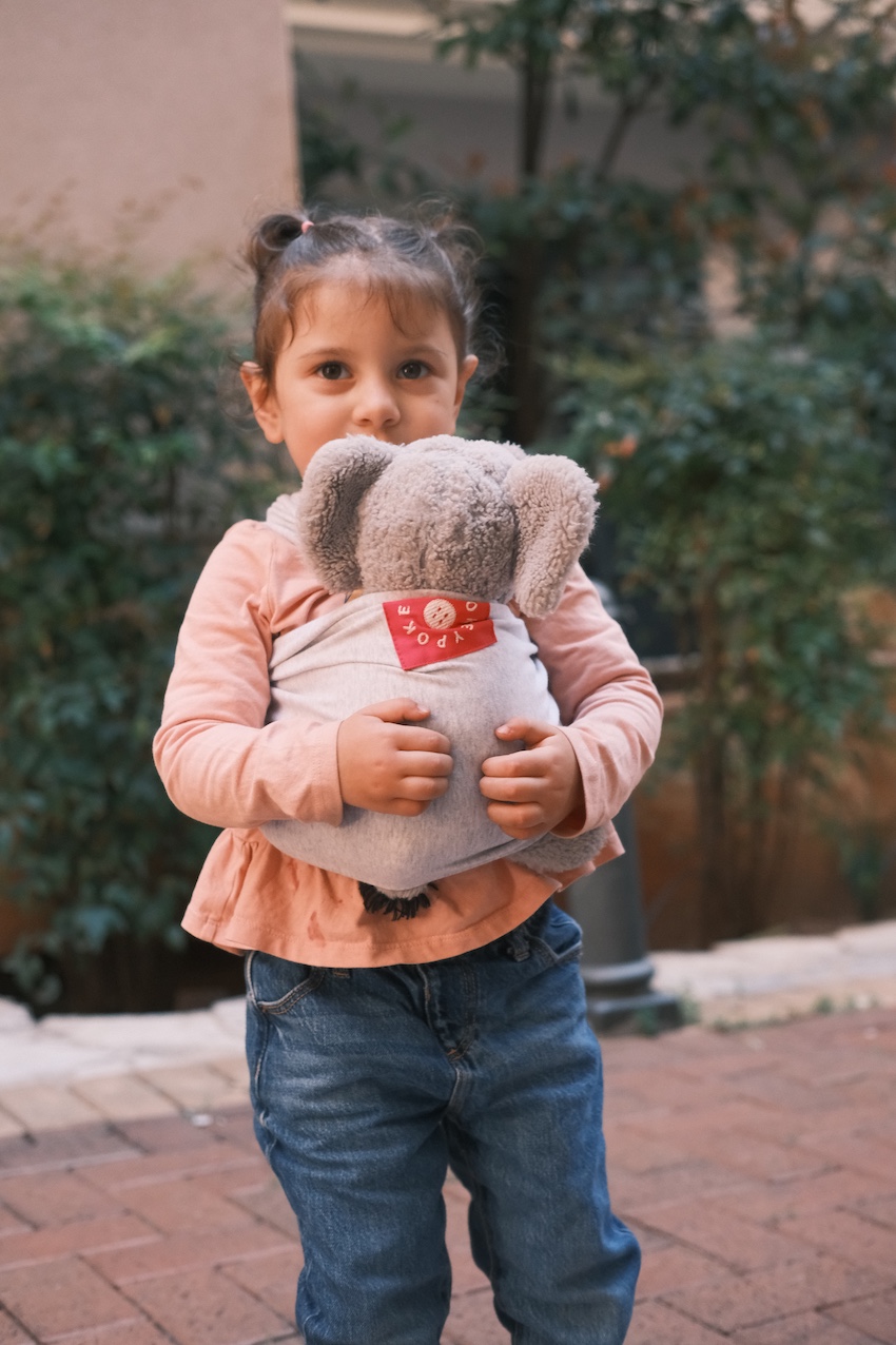 Salmon Sunrise MiniHokey Wrap