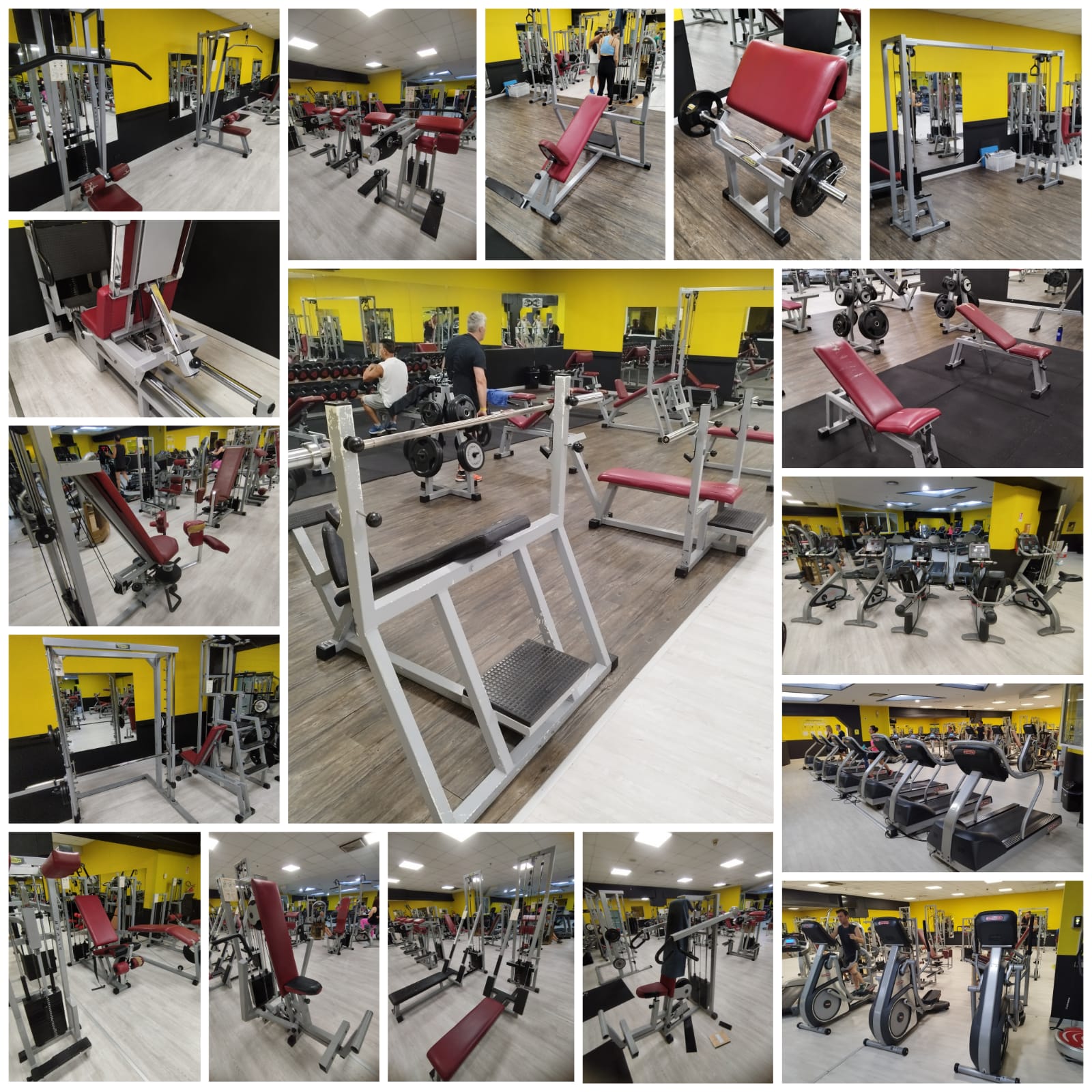 PALESTRA COMPLETA