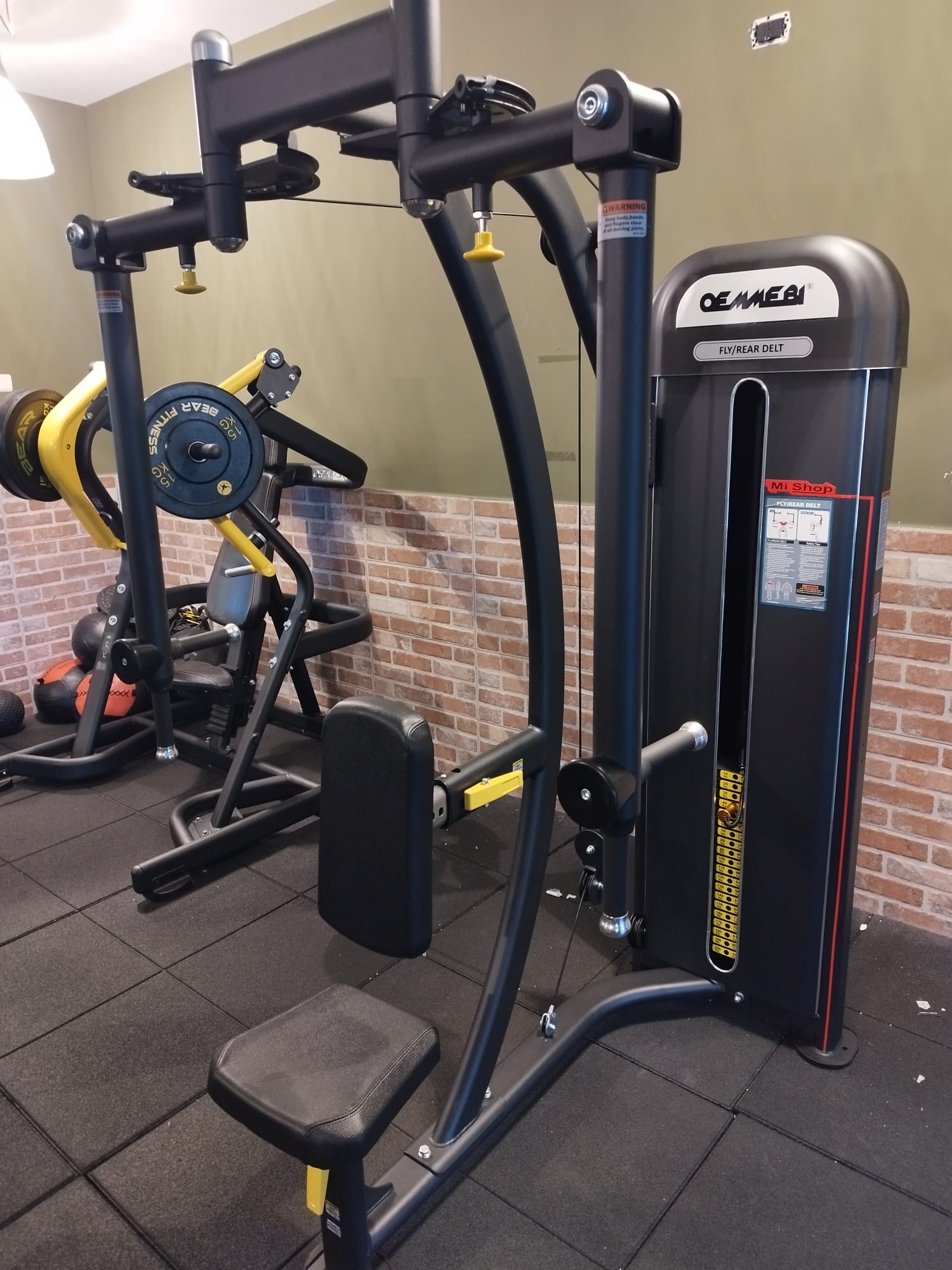 PECK FLY REAR DELT (CHEST)