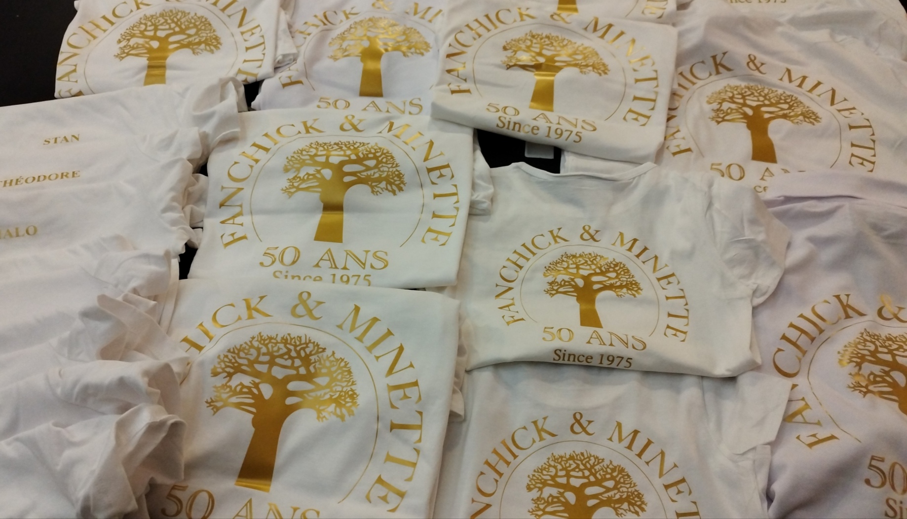 Tee-shirt personnalisé 