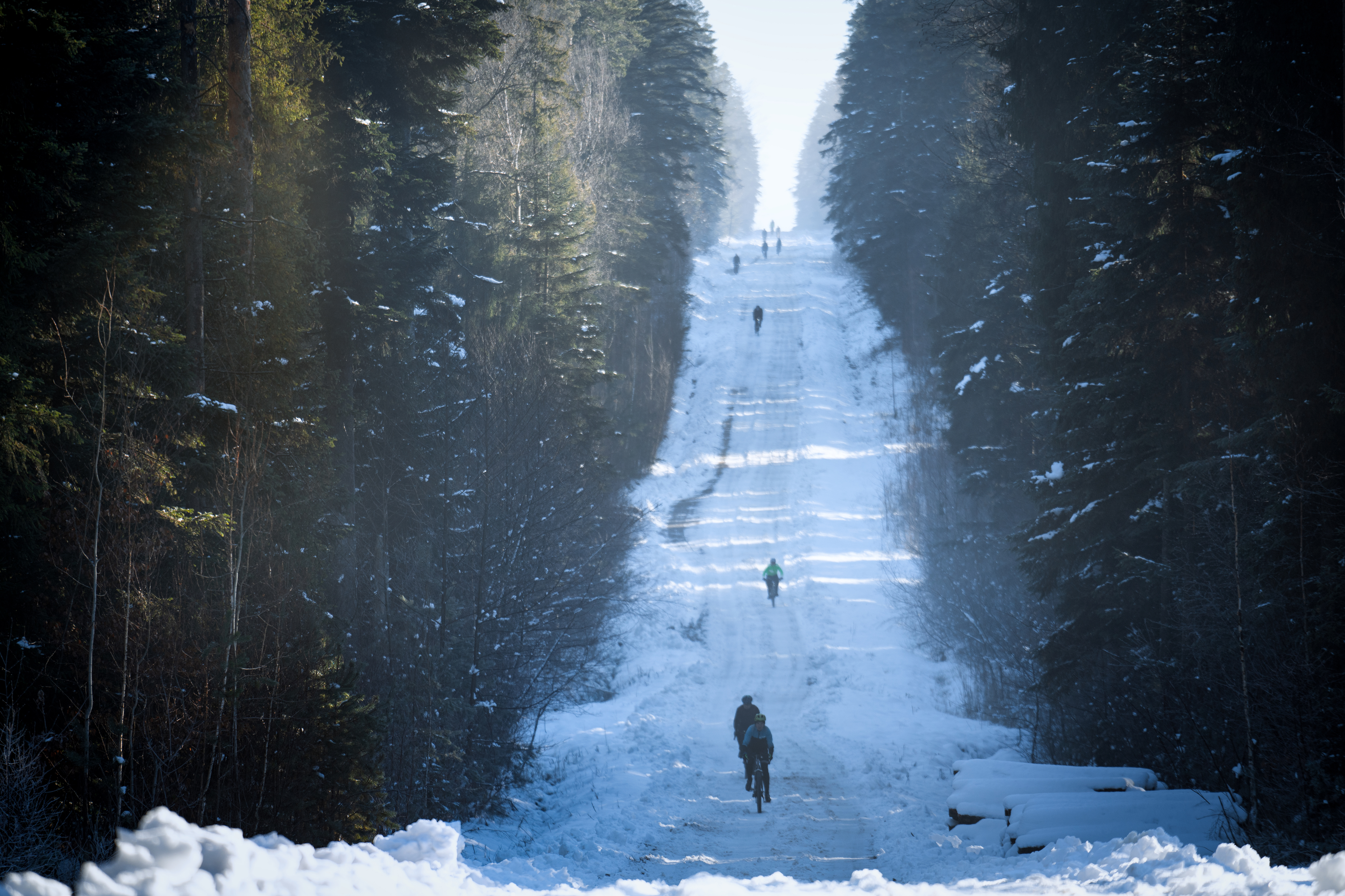 ZIMA 2026, 23-25 stycznia 2026