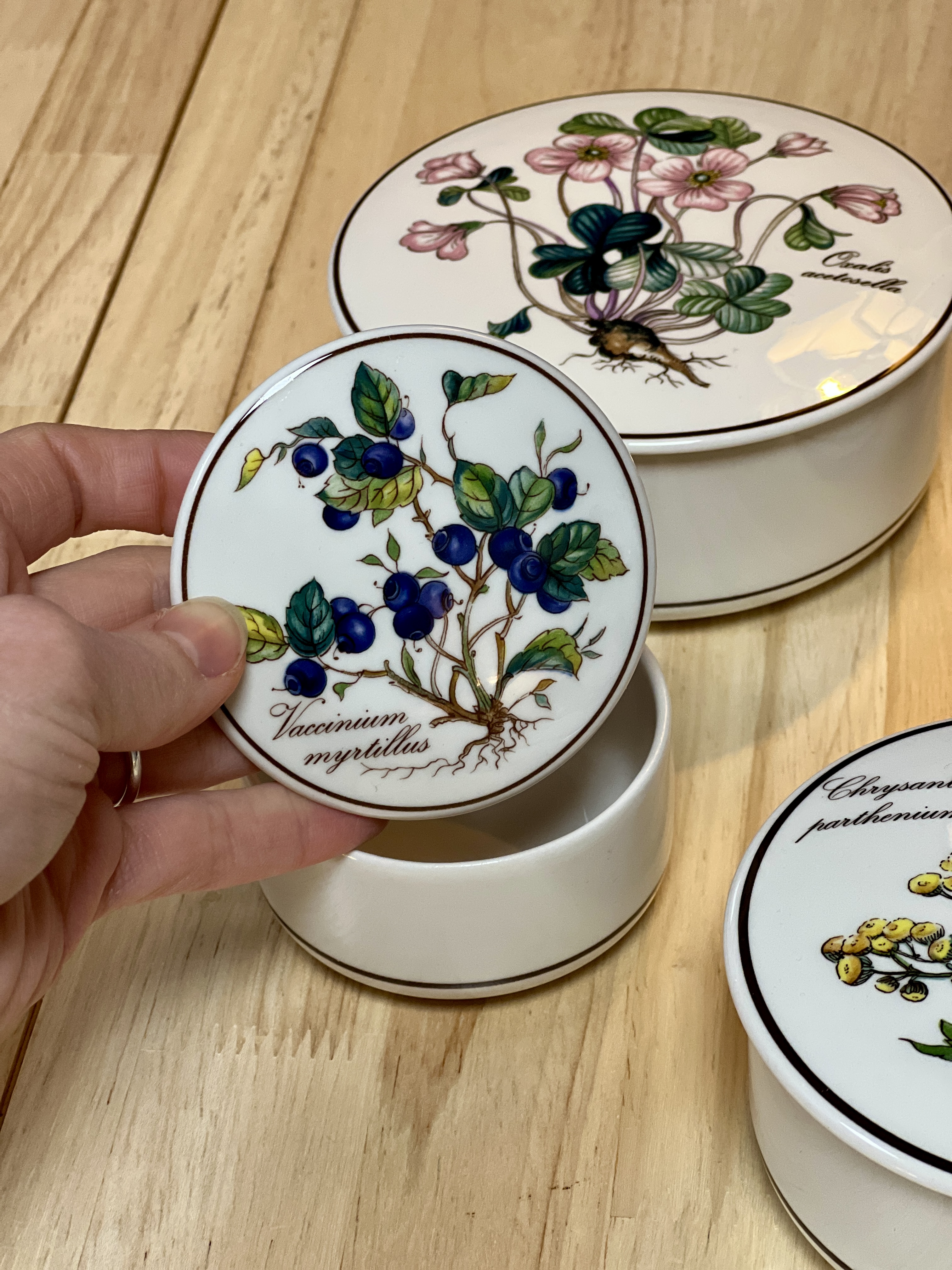 Porcelianiniai "Botanica" indeliai
