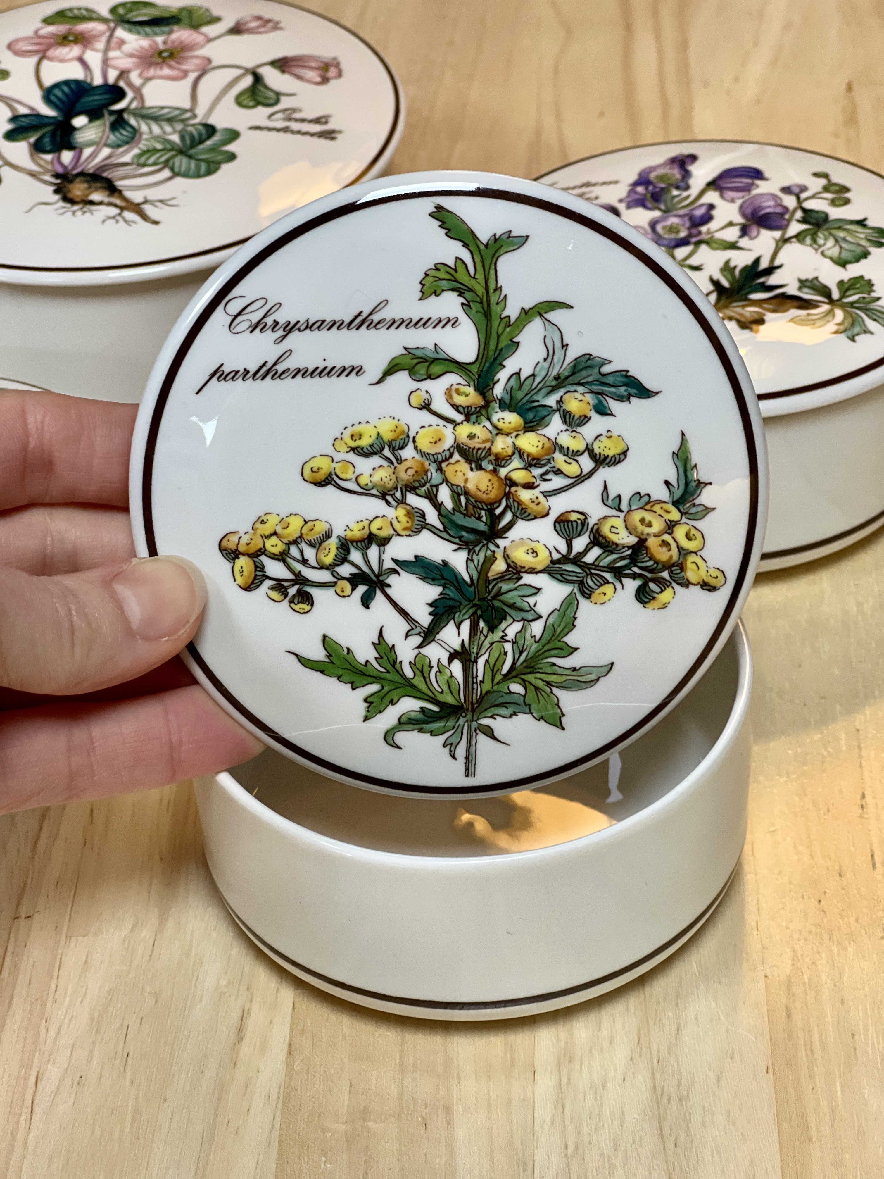 Porcelianiniai "Botanica" indeliai