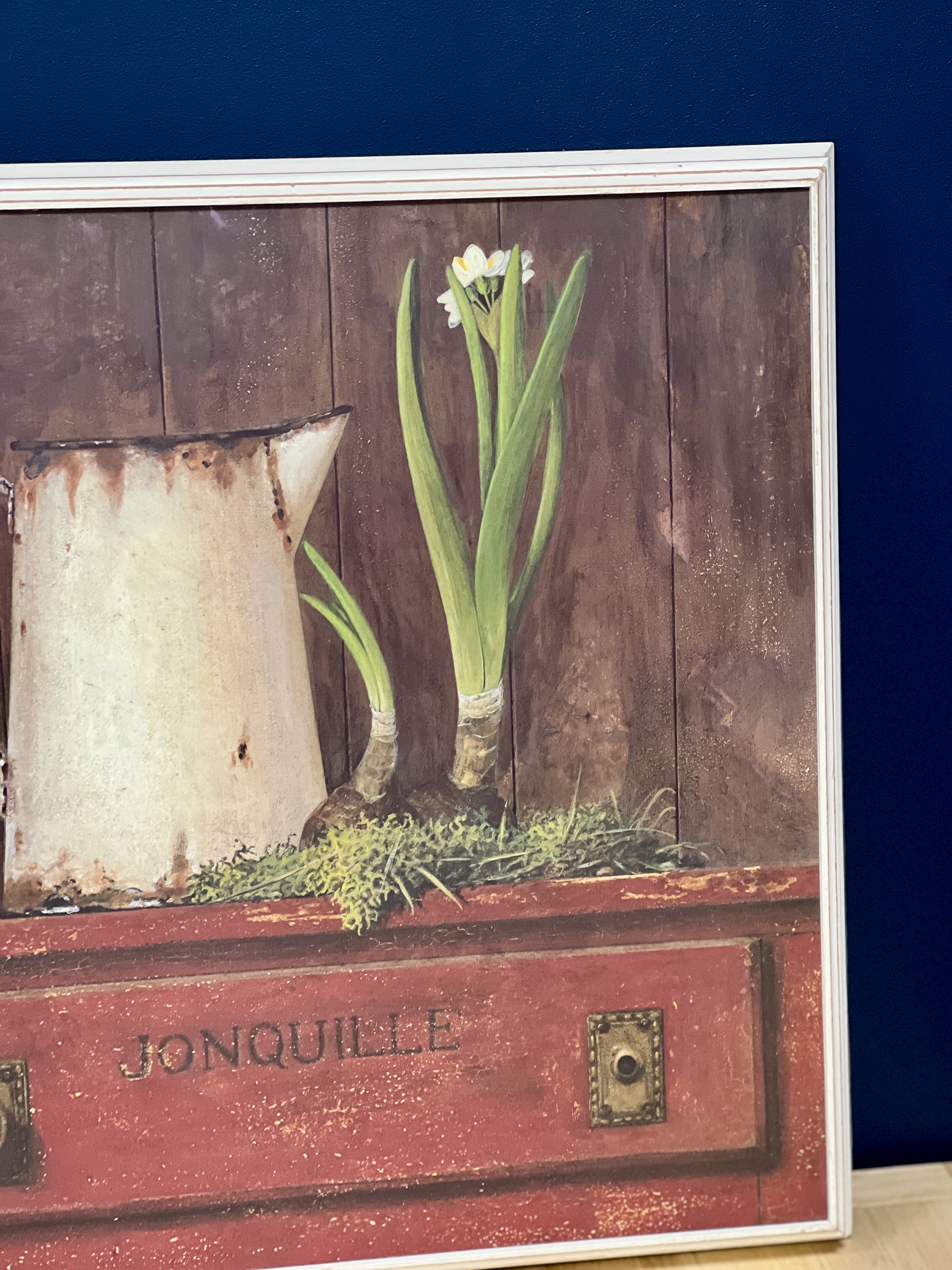 Spausdintas paveikslas "Jonquille"