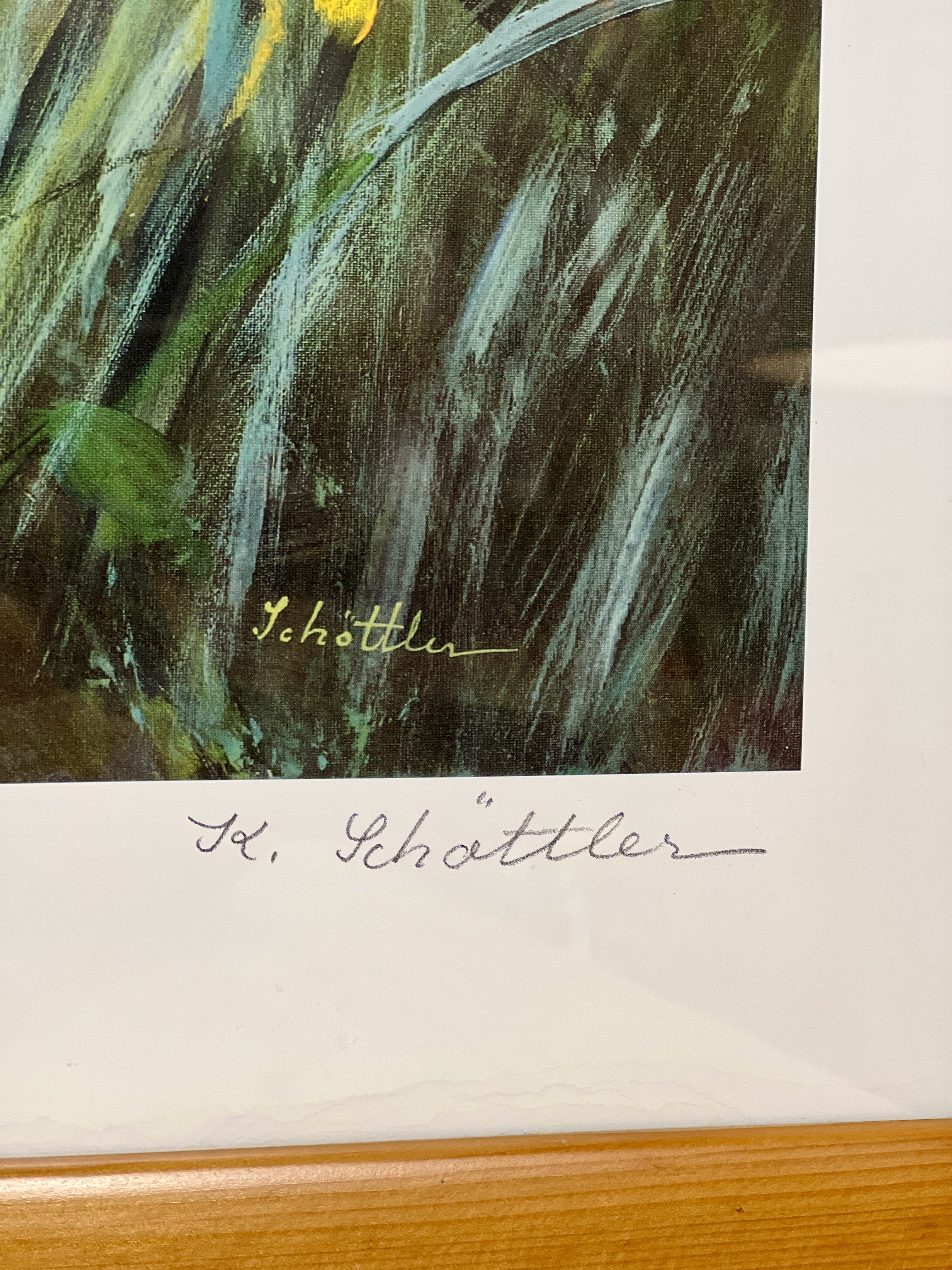 K. Schottler printas