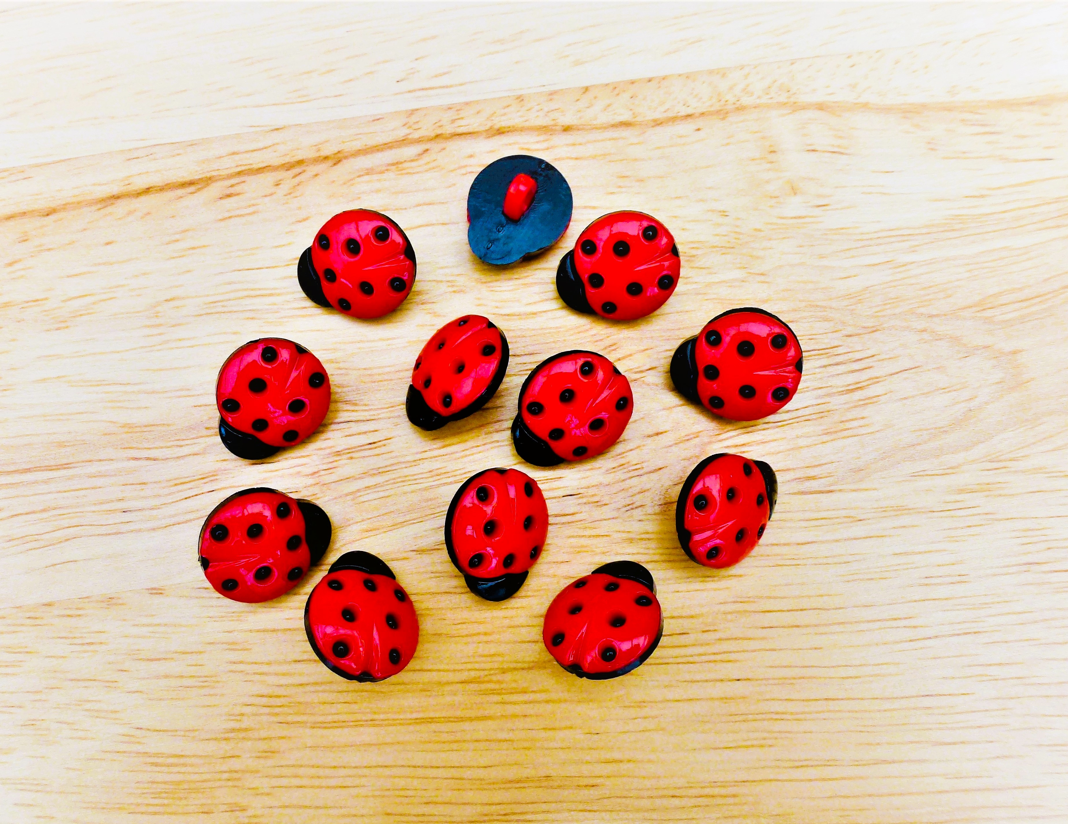 LADYBIRD Buttons 15mm