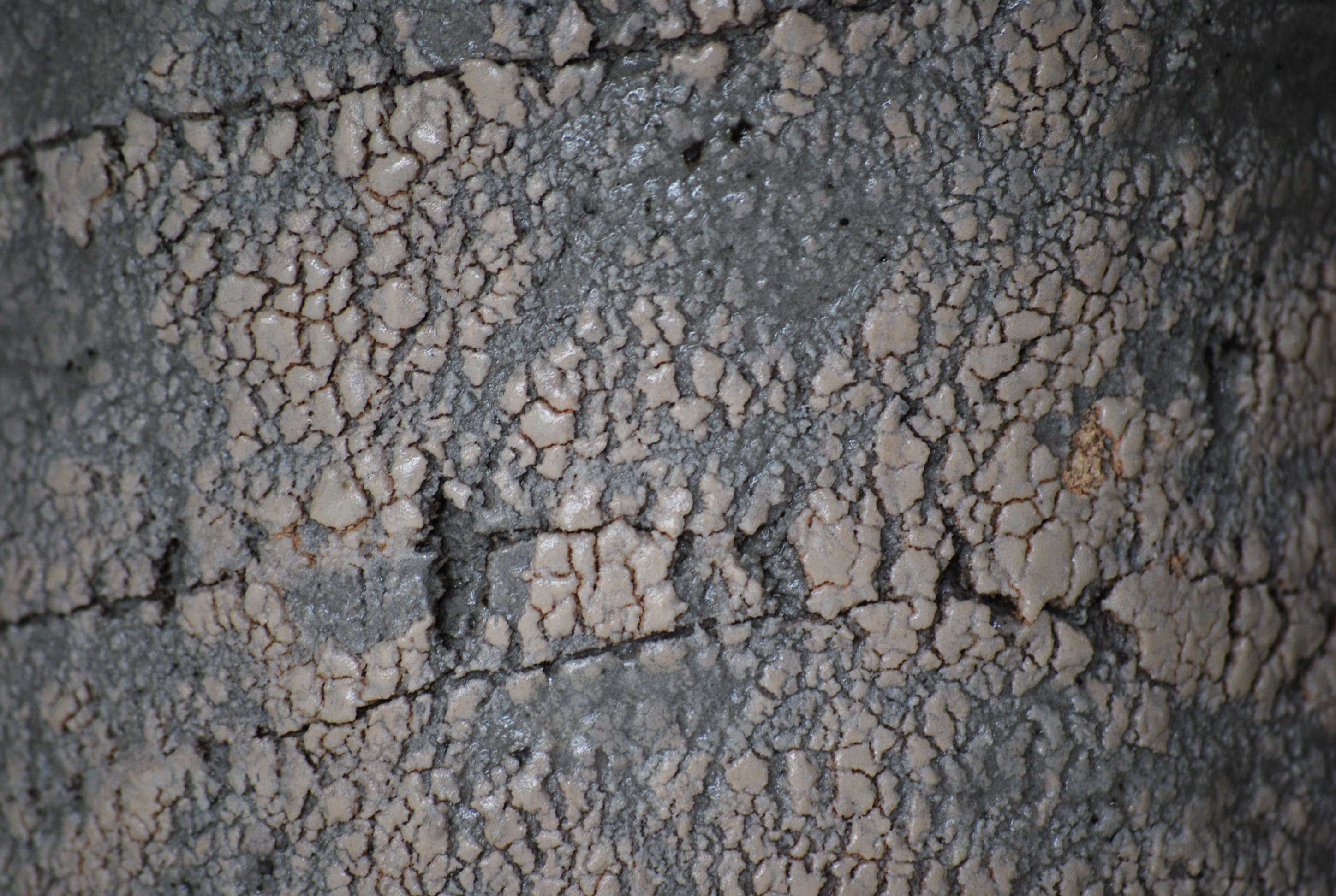 Grès et textures