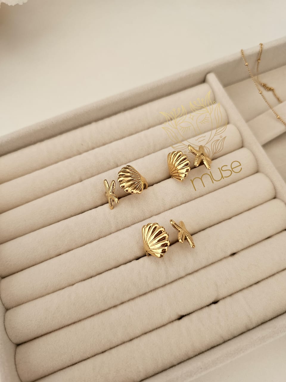 SEA RING STARFISH/ SHELL 