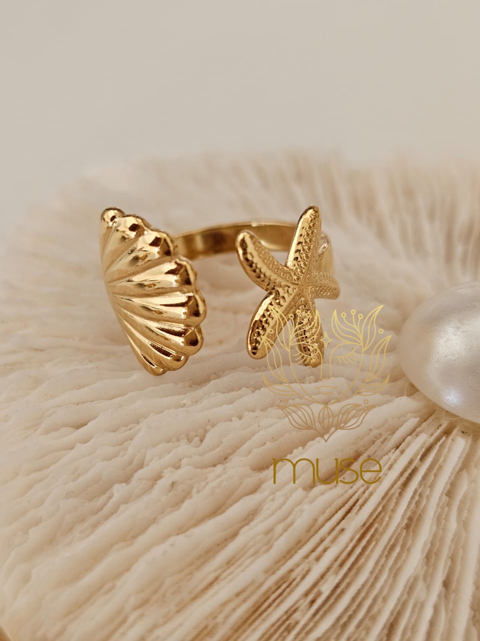 SEA RING STARFISH/ SHELL 