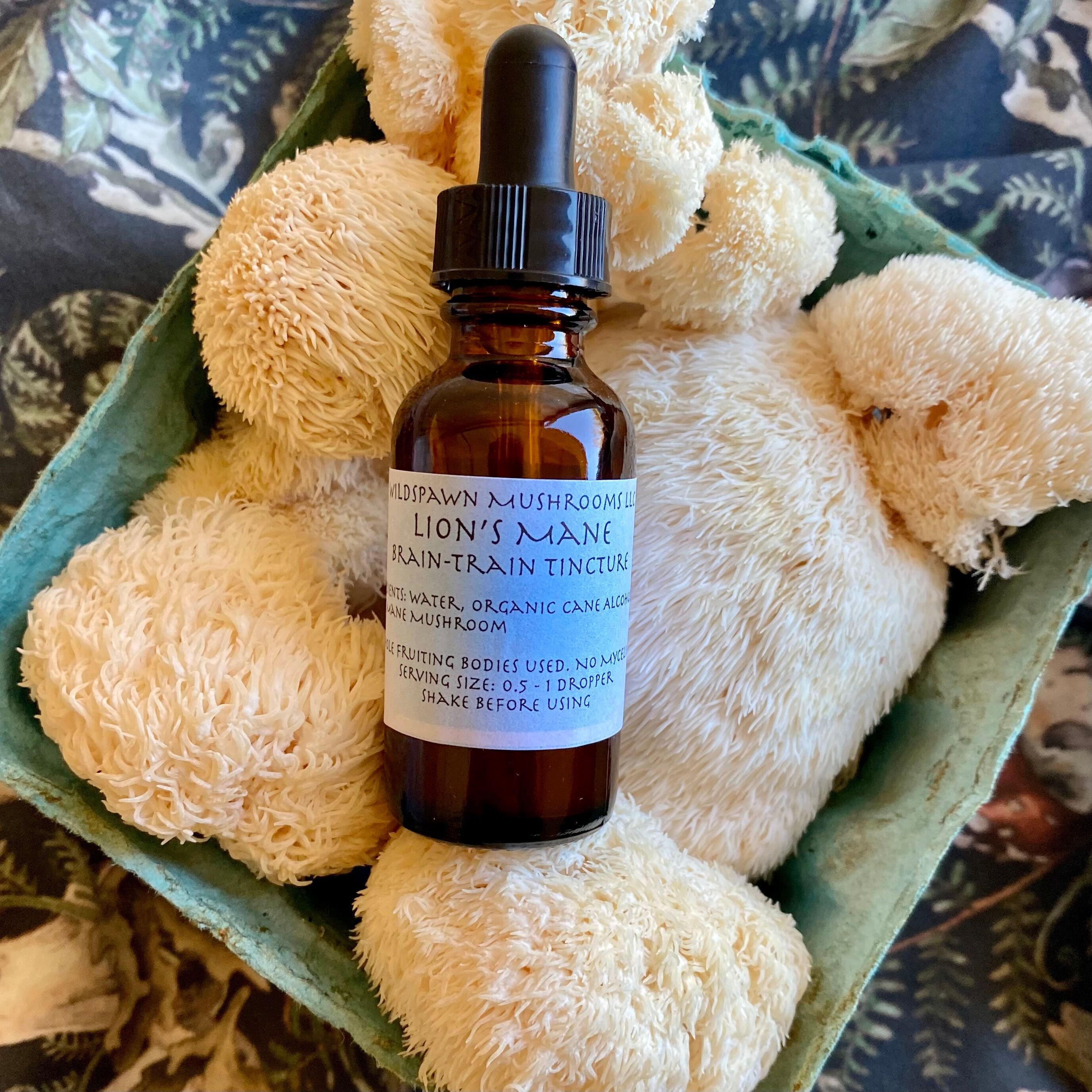 Lions Mane Mushroom Tincture
