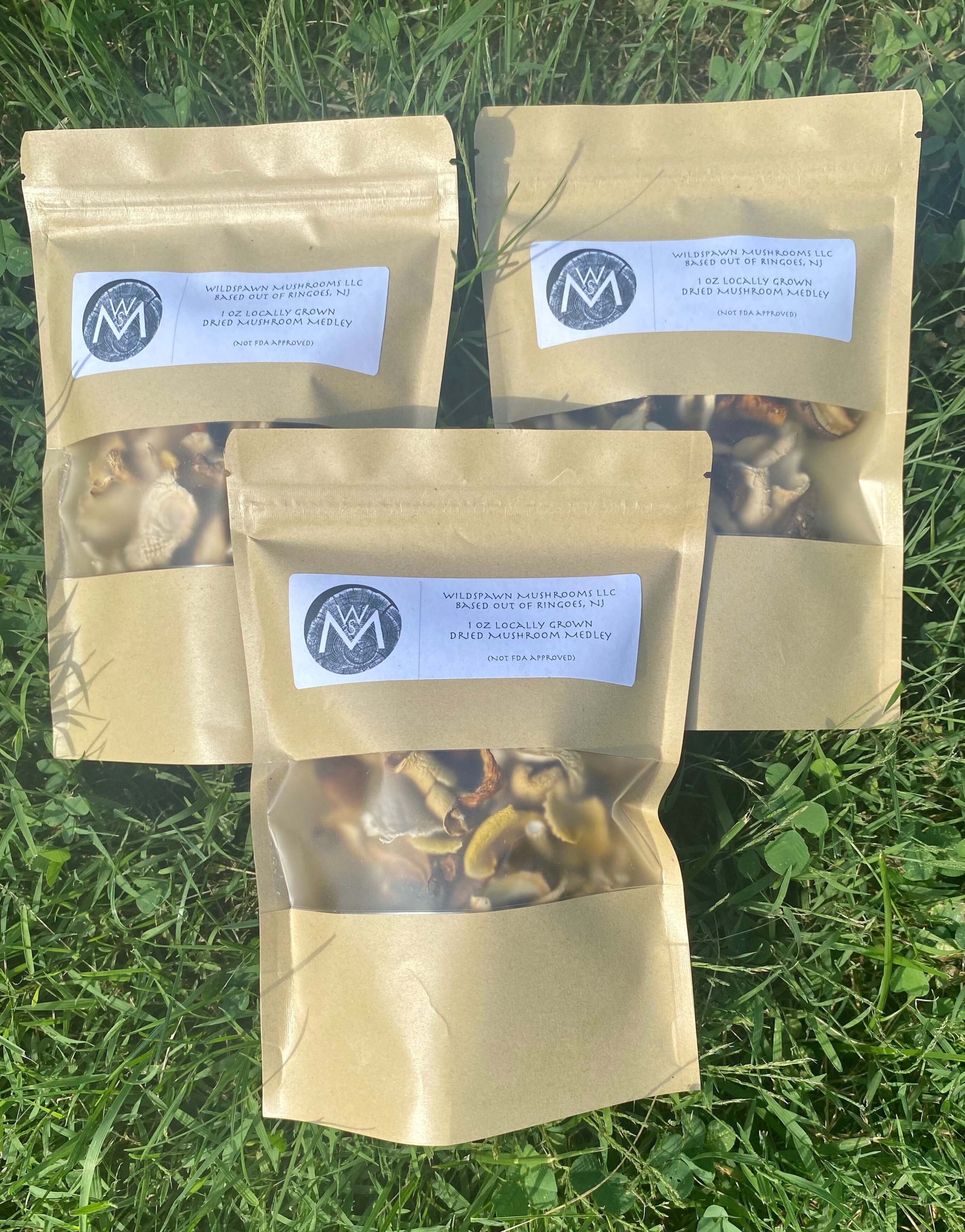 Dried Mushroom Medley